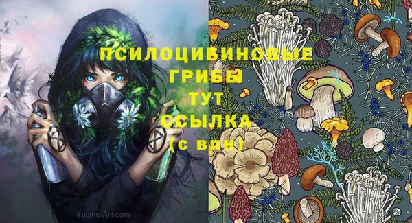 СК Алексин