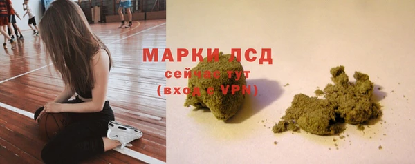 СК Алексин