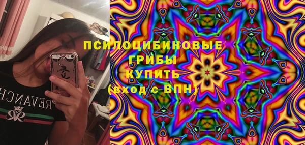 СК Алексин