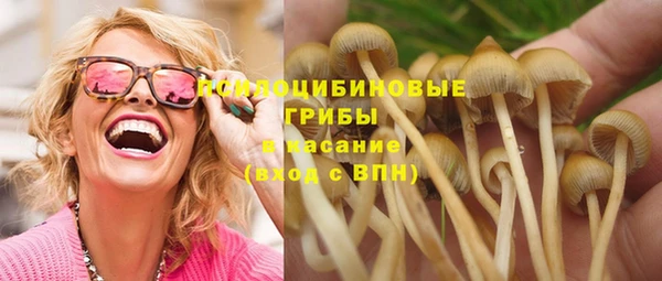 стафф Алзамай
