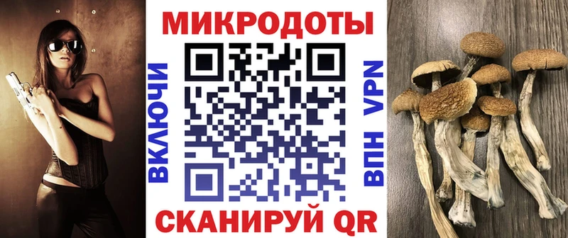 Псилоцибиновые грибы прущие грибы  купить наркотики цена  Миньяр 