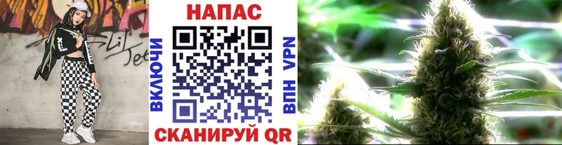 Конопля индика  мега онион  Миньяр  мориарти какой сайт  сколько стоит 